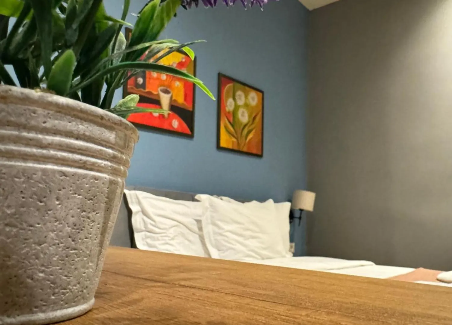 Hotel Tirona 티라나 0*,